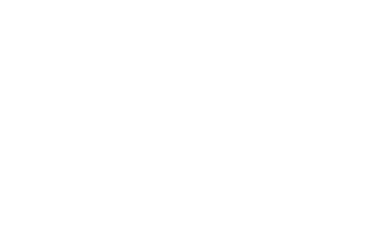 Logo portfolio